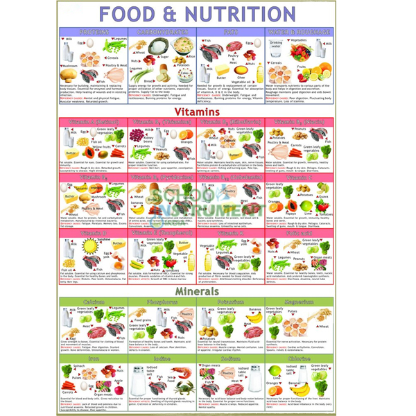 Food & Nutrition Charts, School Education